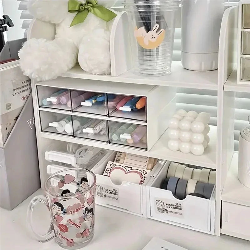 📂 Double-Layer Desktop Storage Shelf & Desk Organizer